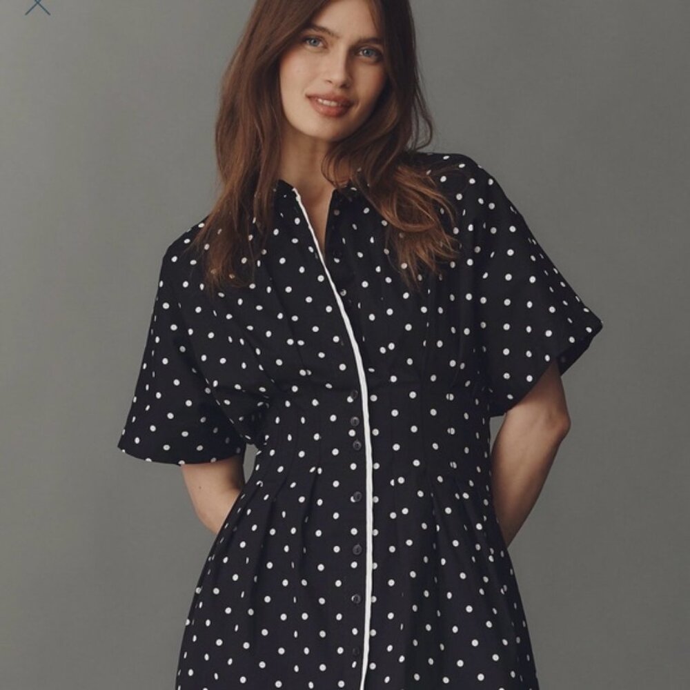 Anthropologie Tobie Button Front Pleated Shirt Dress